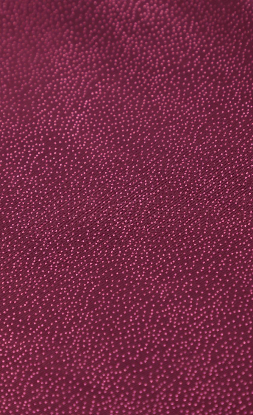 Foil Embellished Dress in Plum